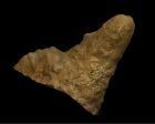 	Stalagmite	
