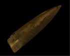 	Belemnite	