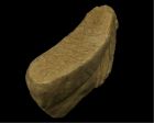 	Mammoth (tooth)	